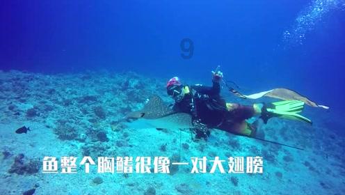 偏执型精神分裂症能治愈吗？游戏画面