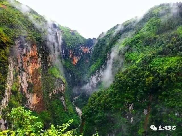 一起捕鱼吧
